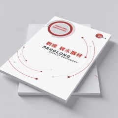 宁波鹏隆展示器材有限公司-展示器材-2022电子画册